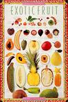 Exotic Fruit Poster